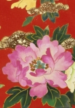 13219 - Agemaki 12977 crop3  